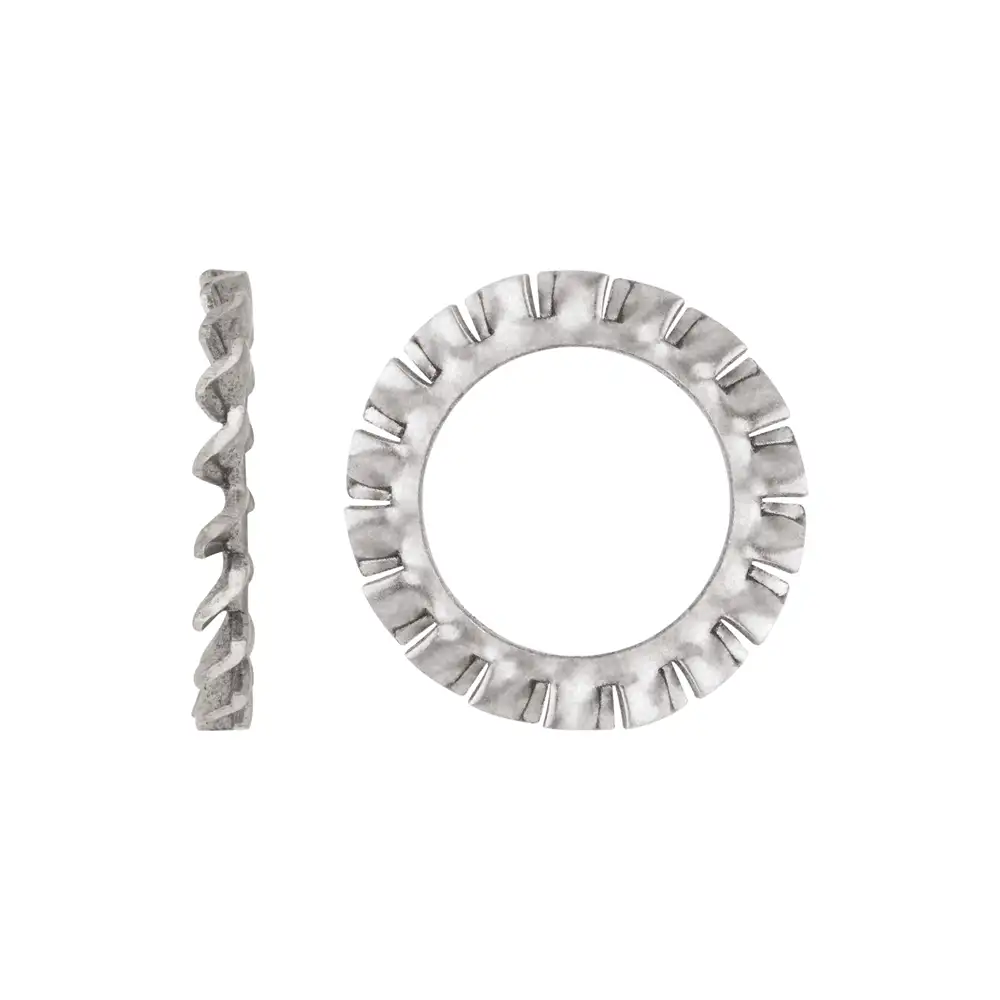 Stainless Steel Tooth Washer